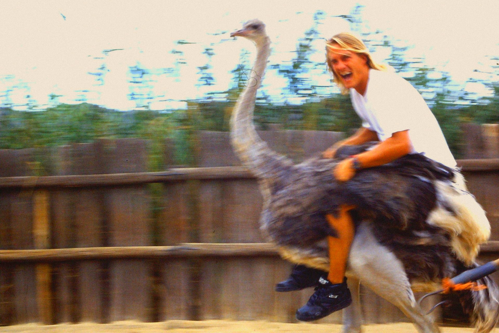 1990s Chiemsee campaign, archive grade — a rider in a white tee racing an ostrich along a paddock fence